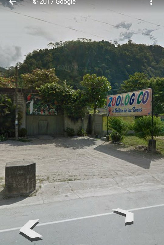 Zoologico el Gallito de las Rocas-拉梅尔塞必去景点