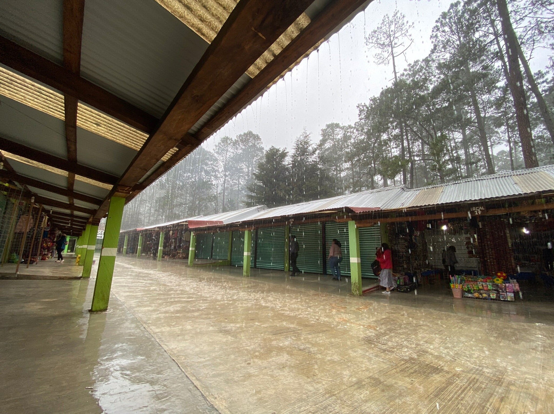 Parque Ecoturistico de Rancho Nuevo景点图片