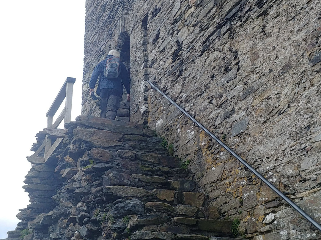 Dolwyddelan Castle景点图片