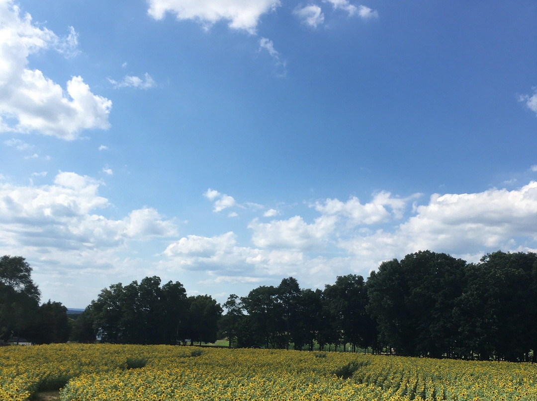 Buttonwood Farm-Griswold必去景点