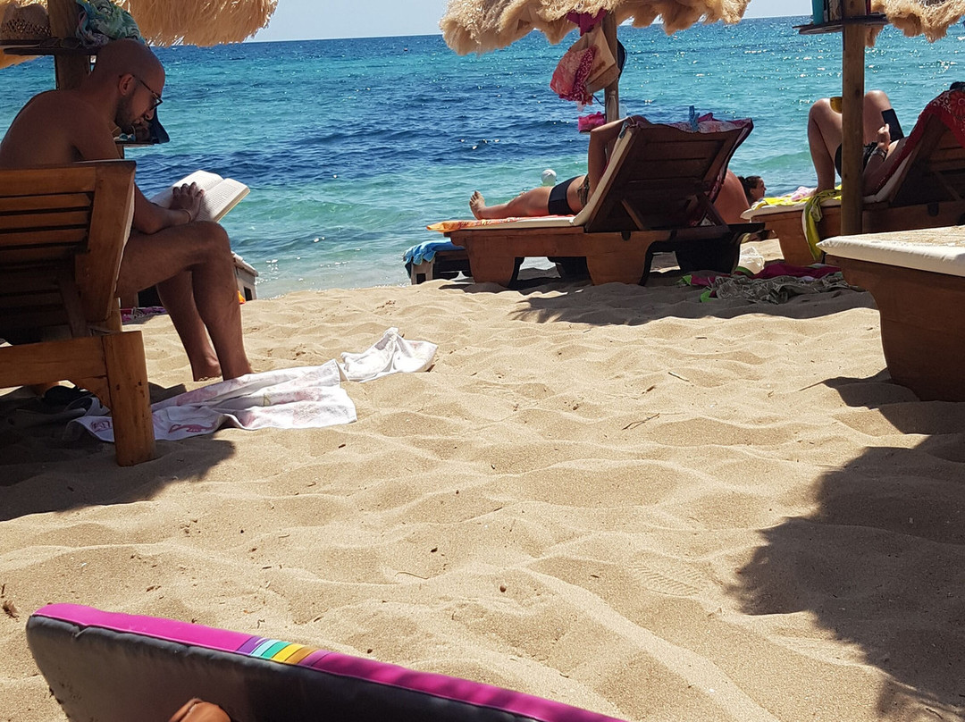 Hotel Al Porticciolo主图