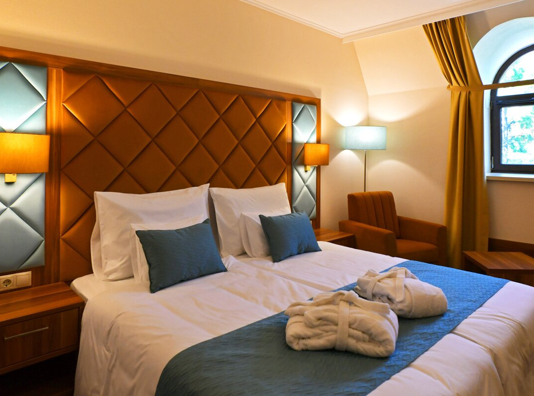 Wellness Hotel Gyula主图