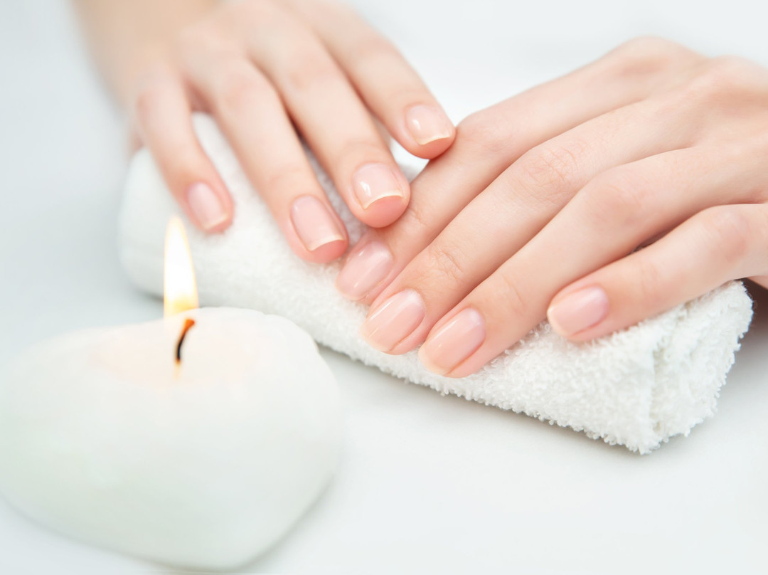 Palm Cove Spa & Beauty-棕榈湾必去景点