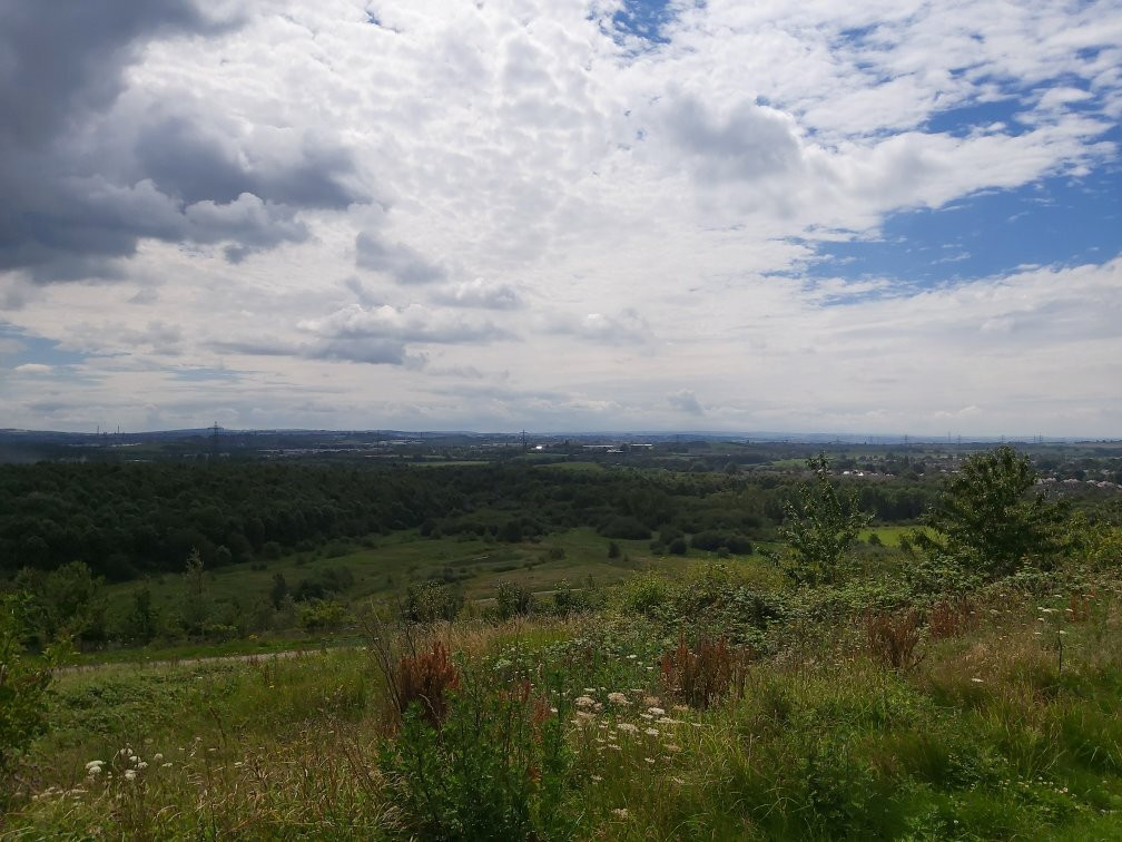 Rabbit Ings Country Park-Royston必去景点