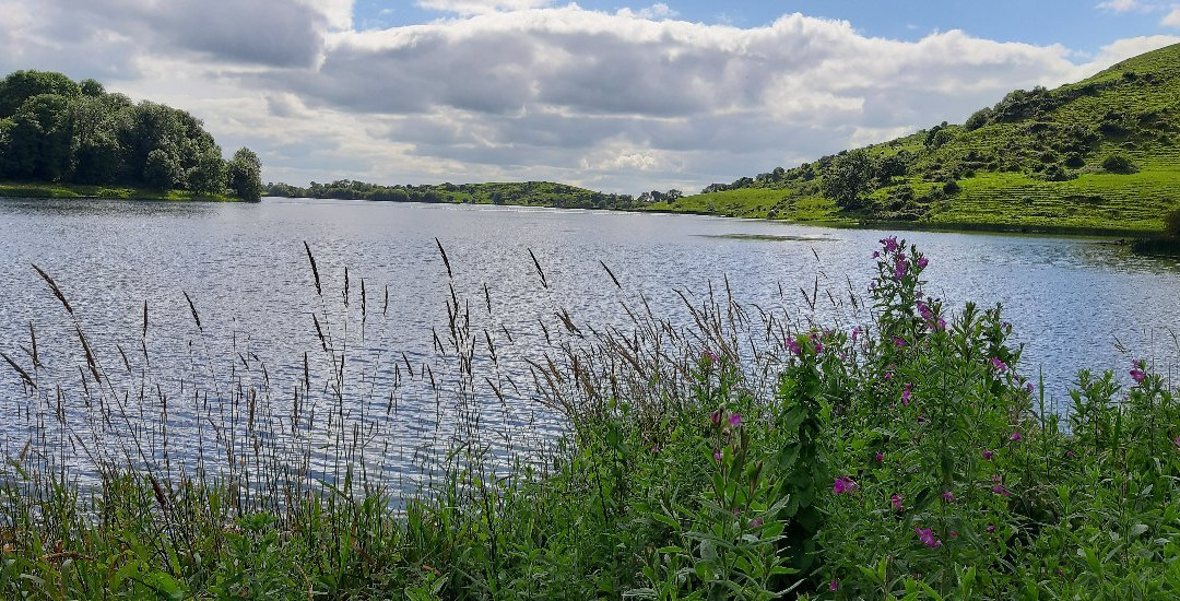 Lough Gur Heritage Center-Bruff必去景点