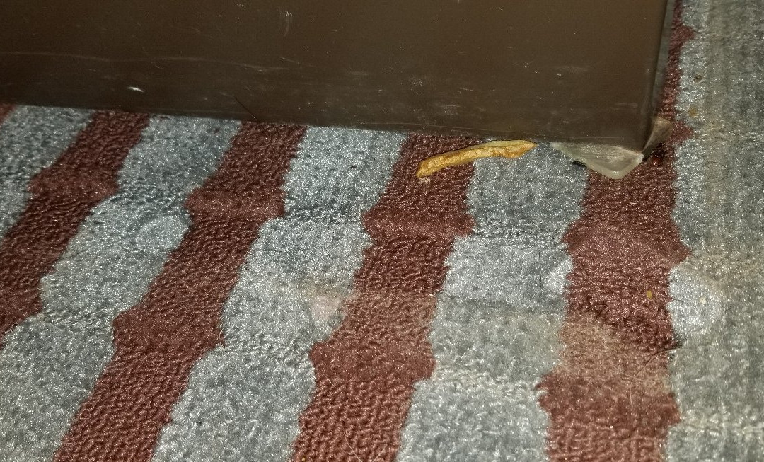 Atria Hotel & RV McGregor主图