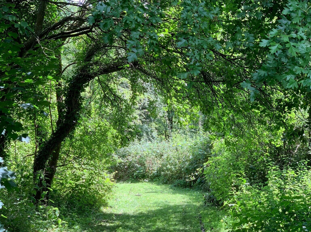 Pendeford Mill Nature Reserve景点图片