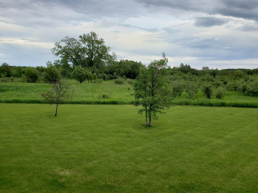 AmericInn by Wyndham Baudette主图