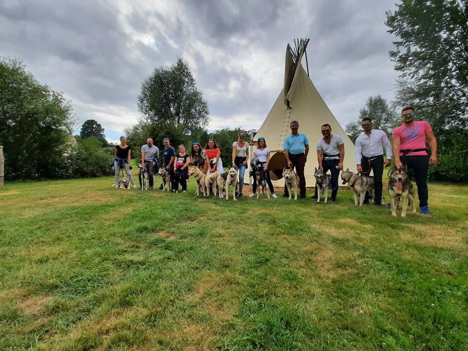 Sled Dog Ride景点图片