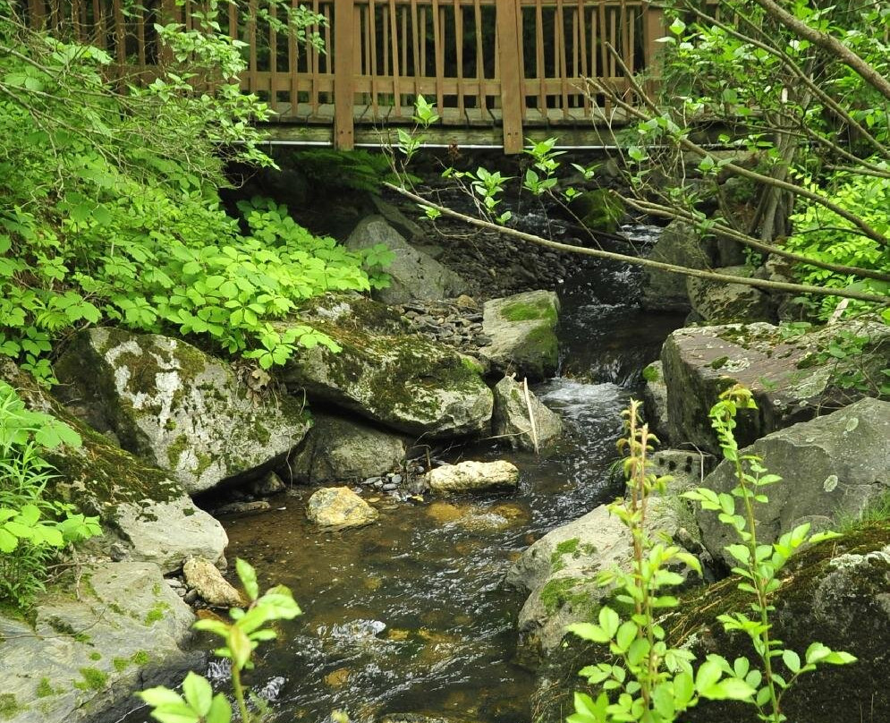 Stay Berkshires主图