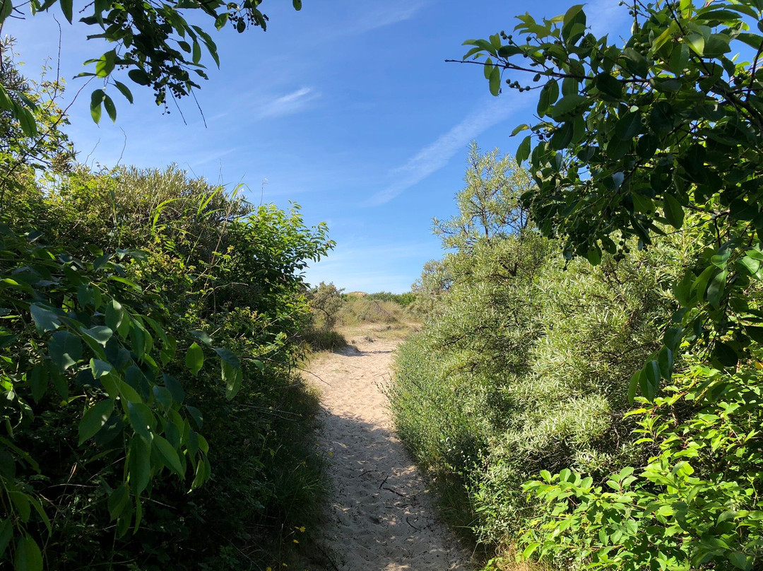 Groene Strand Beach景点图片