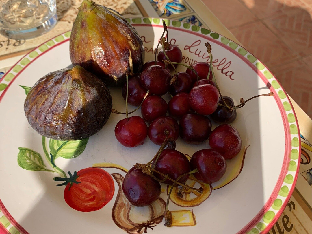 H.H.里帕尔梅酒店主图