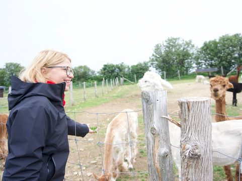 Zofa Excursions-魁北克市必去景点
