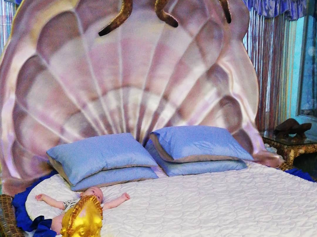 Hotel Zamok Snov主图
