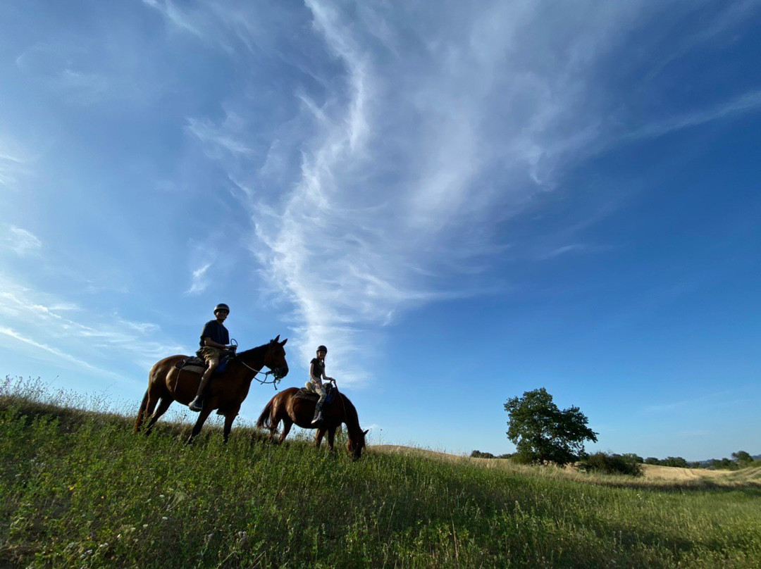 IL MISSOURI-Buonconvento必去景点