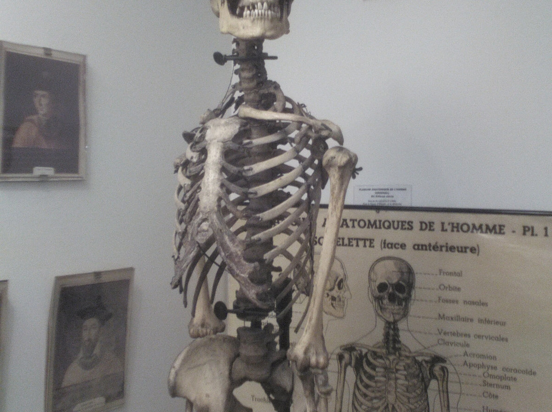Musee d'Histoire de la Medecine景点图片