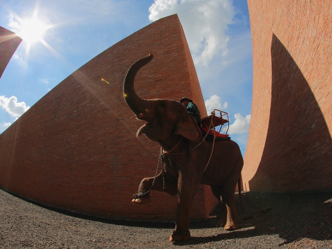 Elephant Study Center Surin景点图片