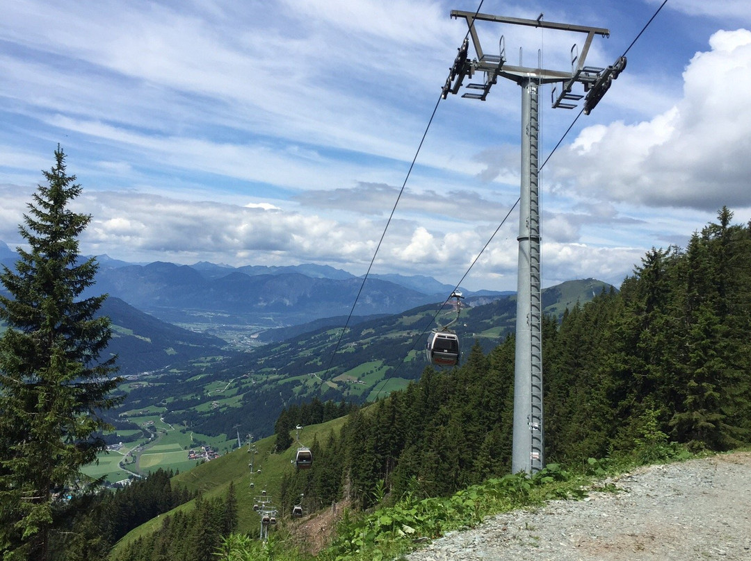 Alpenrosenbahn景点图片