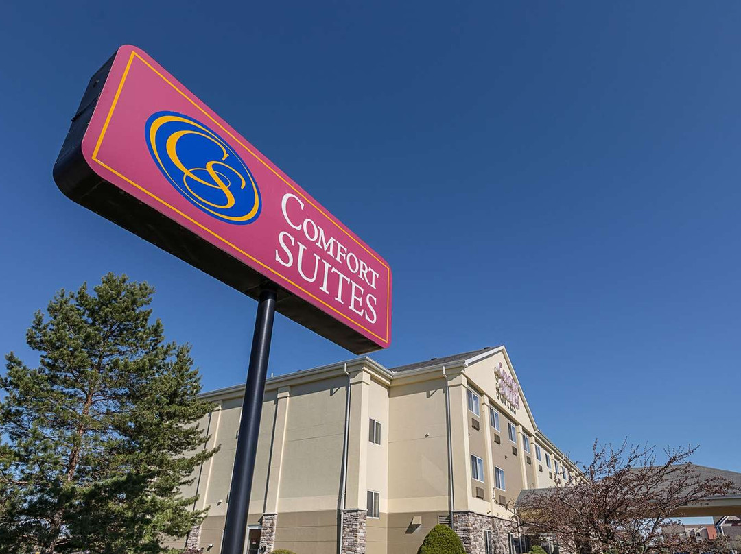 Comfort Suites主图