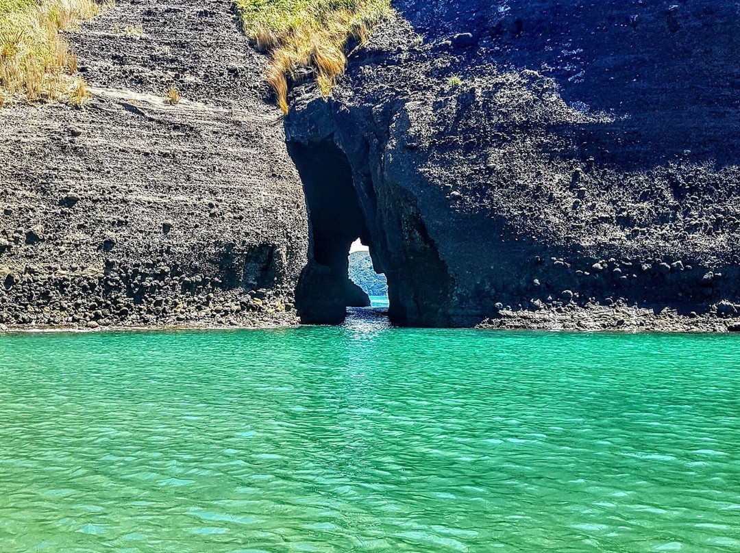 Trippy - West Auckland Adventures-皮哈海滩必去景点