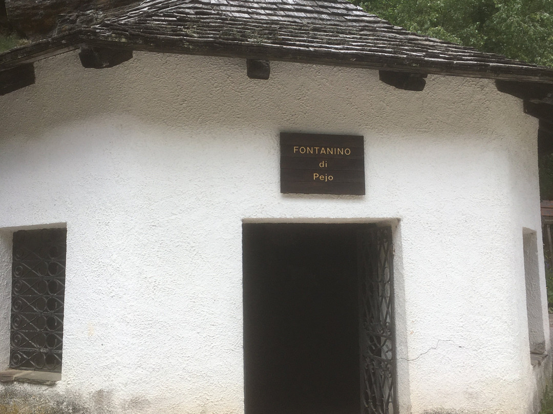 Fontanino di Pejo景点图片