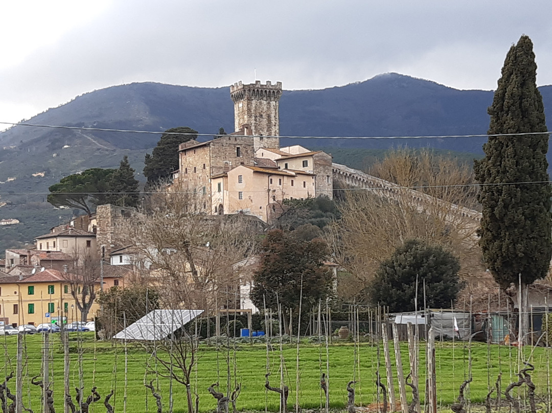 Rocca di Vicopisano (del Brunelleschi)景点图片