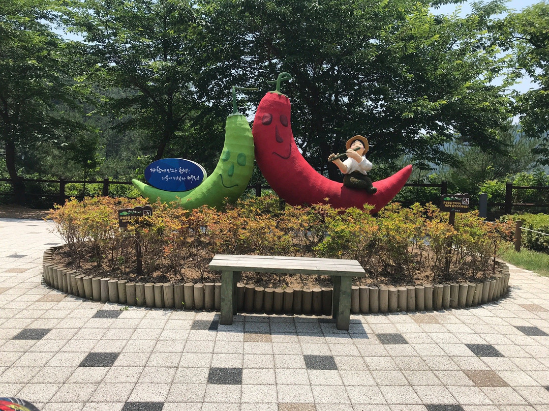 Cheonjang Lake Suspension Bridge-青阳郡必去景点
