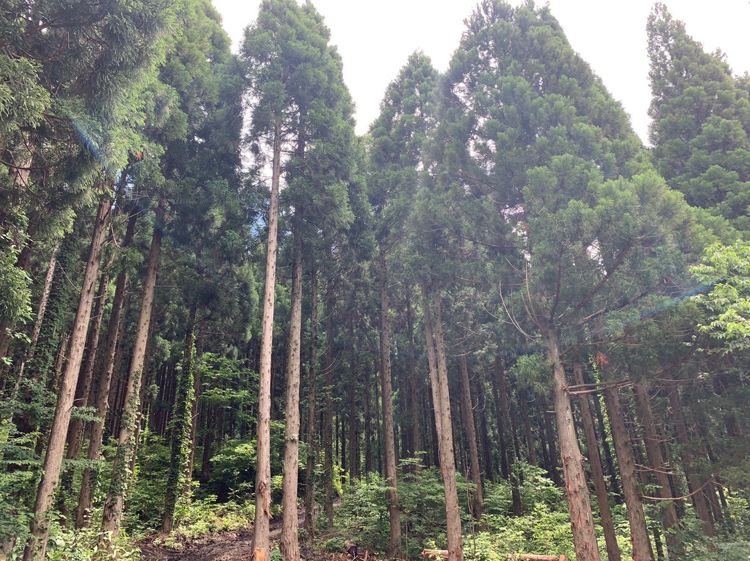Mt. Azuma-庄原市必去景点