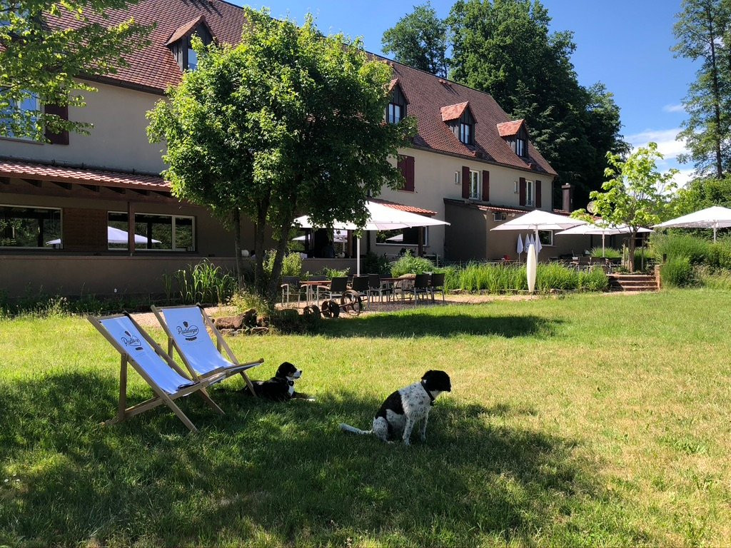 Landgrafen-Muehle主图