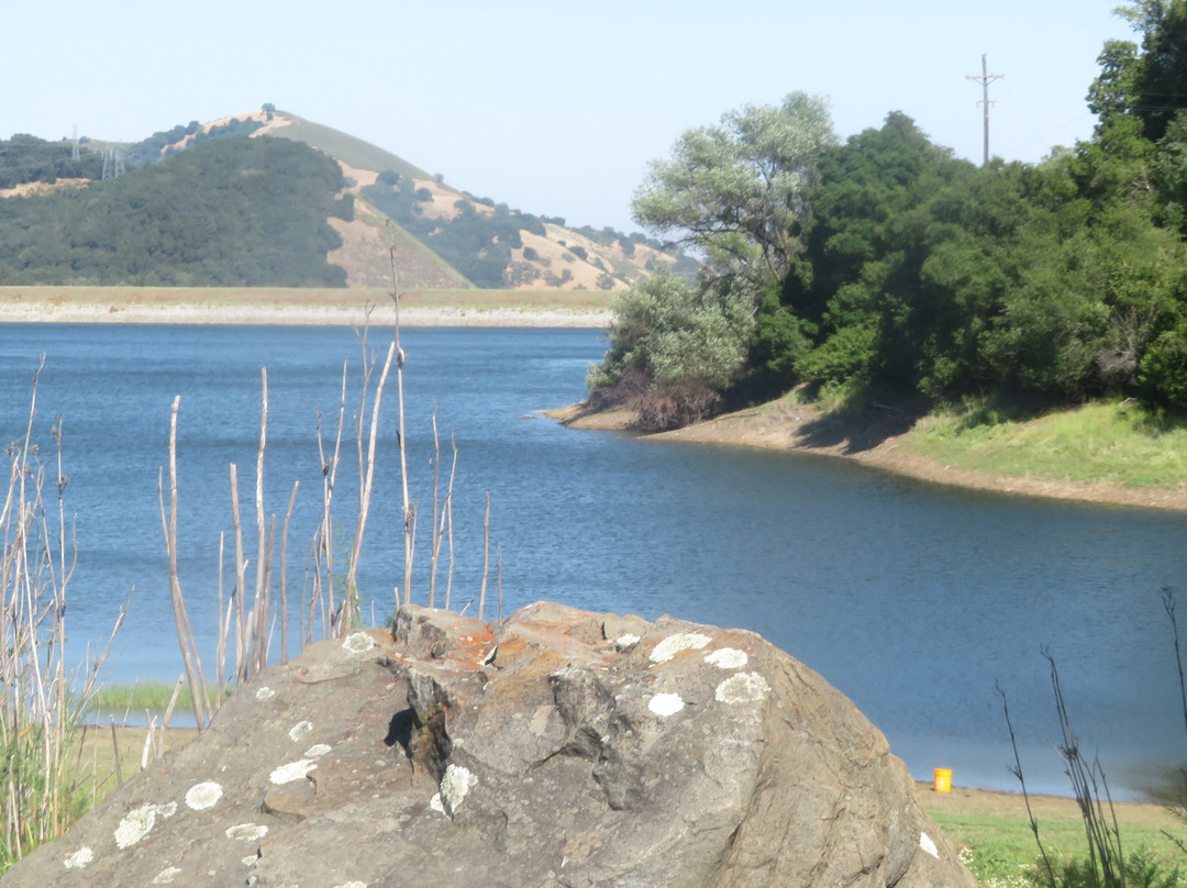 Uvas Canyon County Park-摩根希尔必去景点