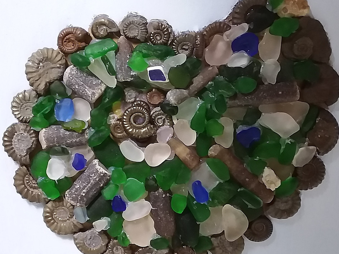 Fossilwalks景点图片