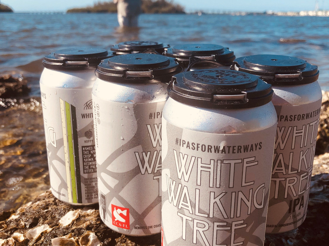 Walking Tree Brewery-维罗海滩必去景点