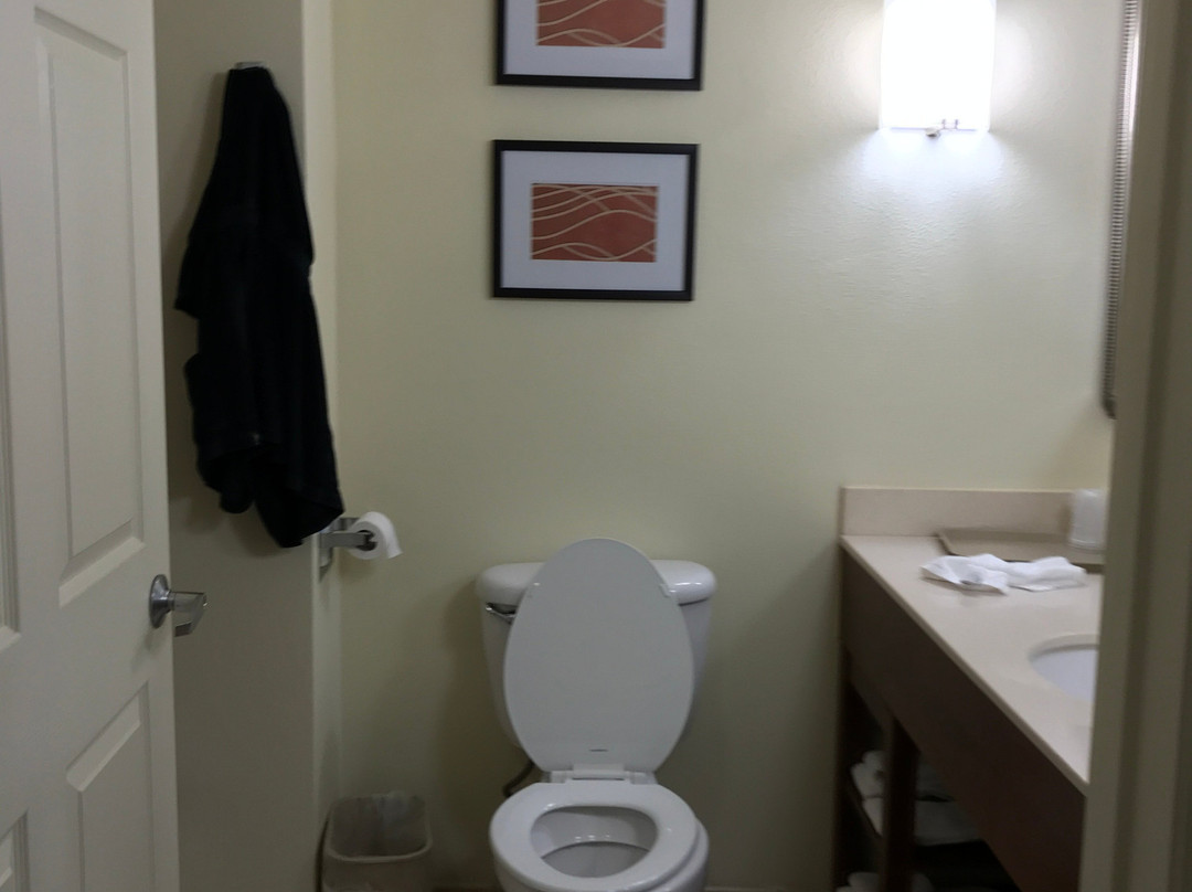 Comfort Inn & Suites主图