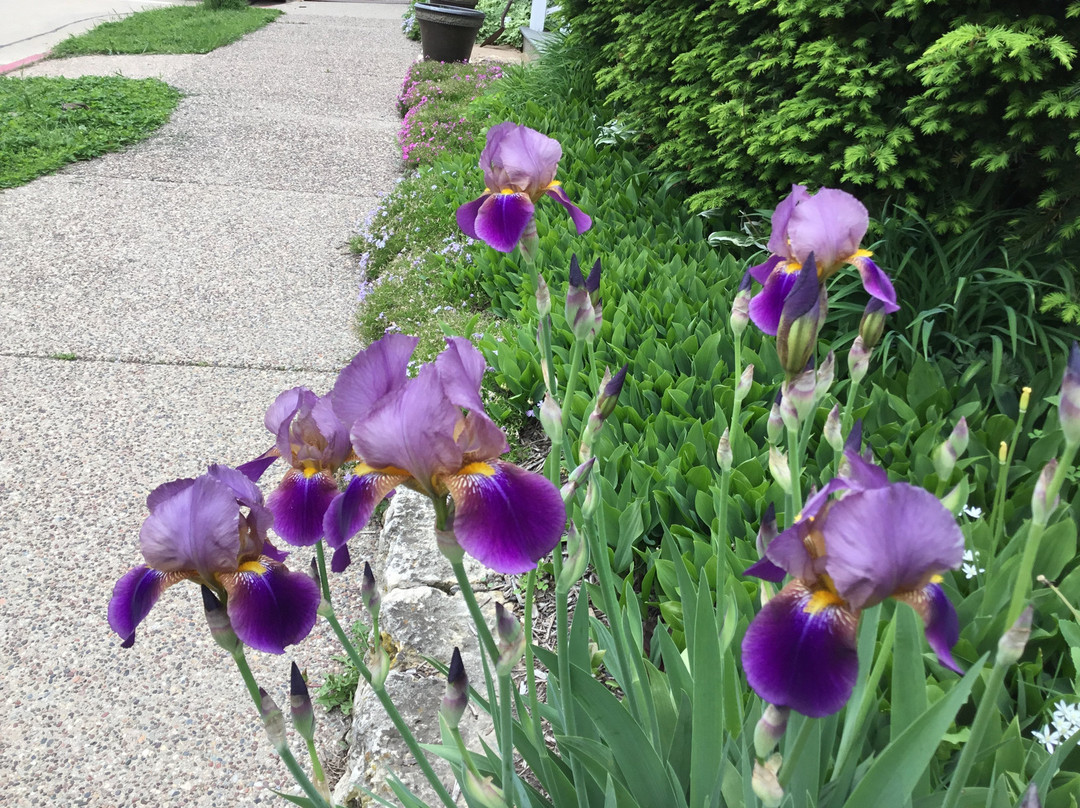 Brierwreath Manor Bed and Breakfast主图