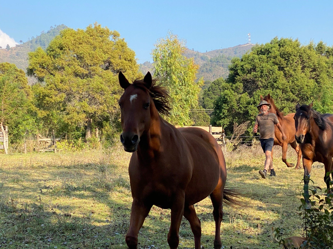 El Rancho Evergreen Guest Ranch-圣克里斯托瓦尔-德拉斯卡萨斯必去景点