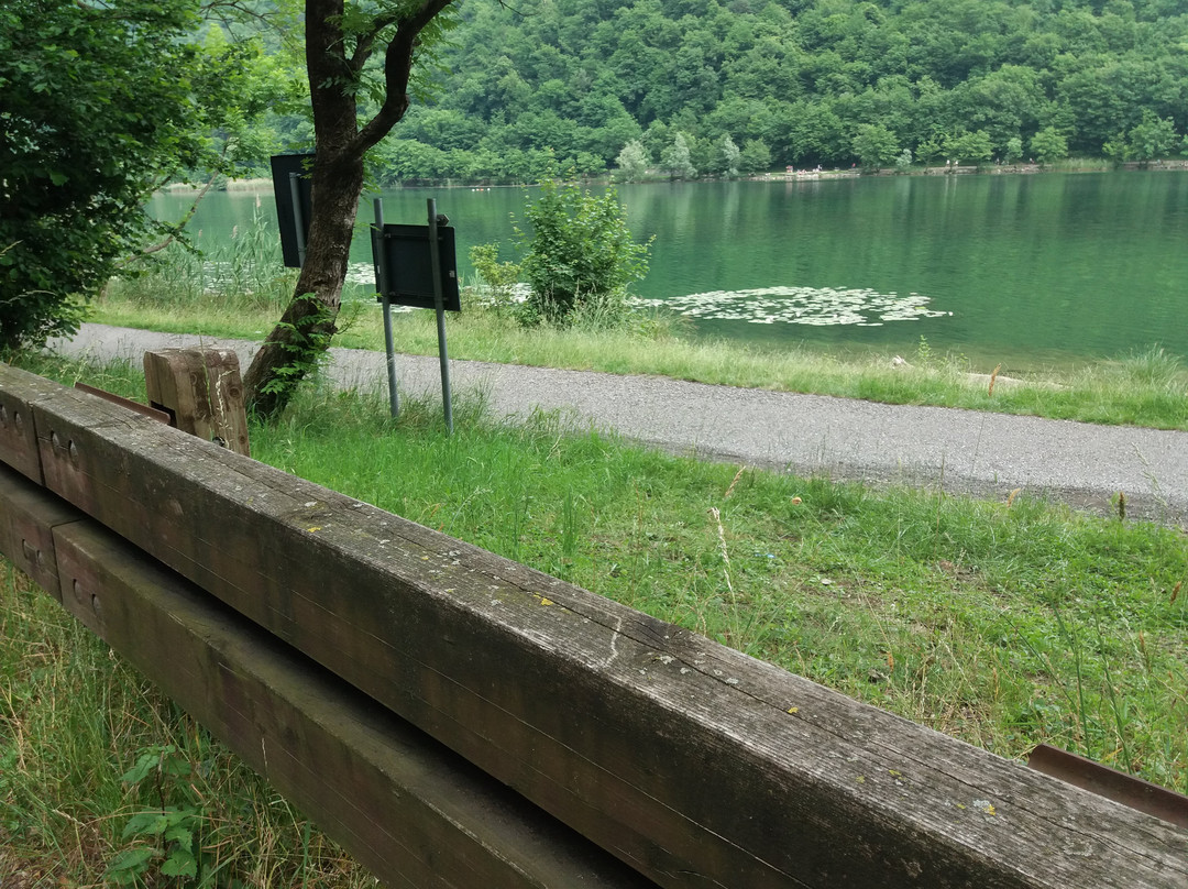 Parco Lago Segrino景点图片