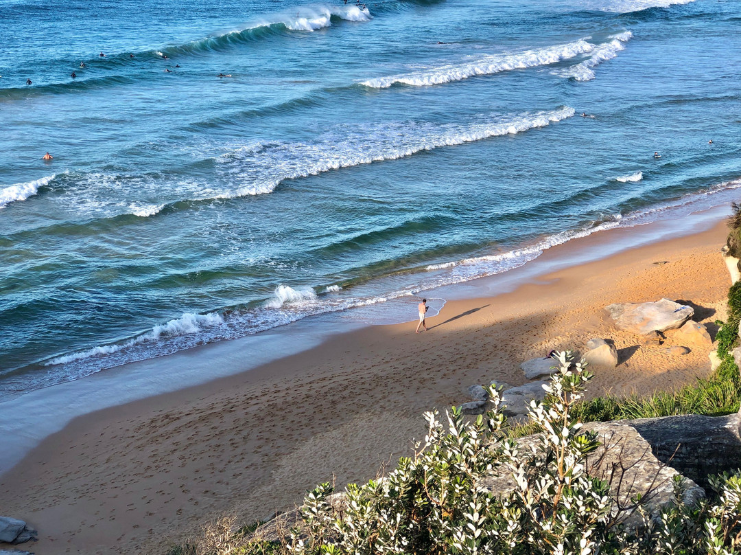 Curl Curl to Freshwater Beach Coastal Walk景点图片