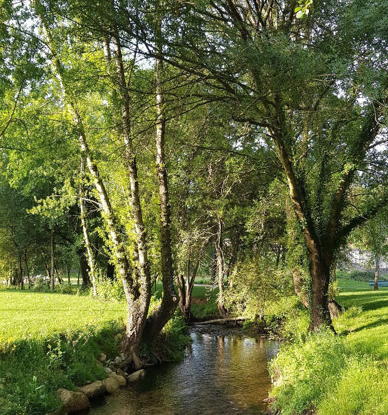 Parque Urbano de Geao景点图片