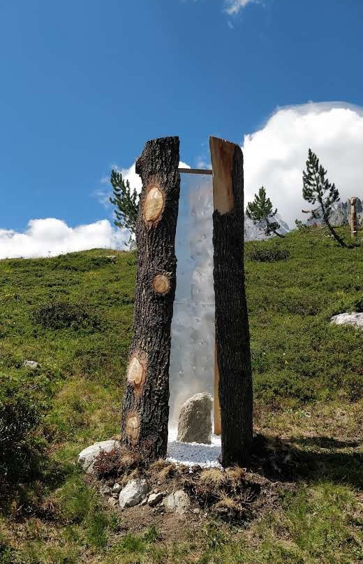 Alpine Botanical Garden Saussurea景点图片