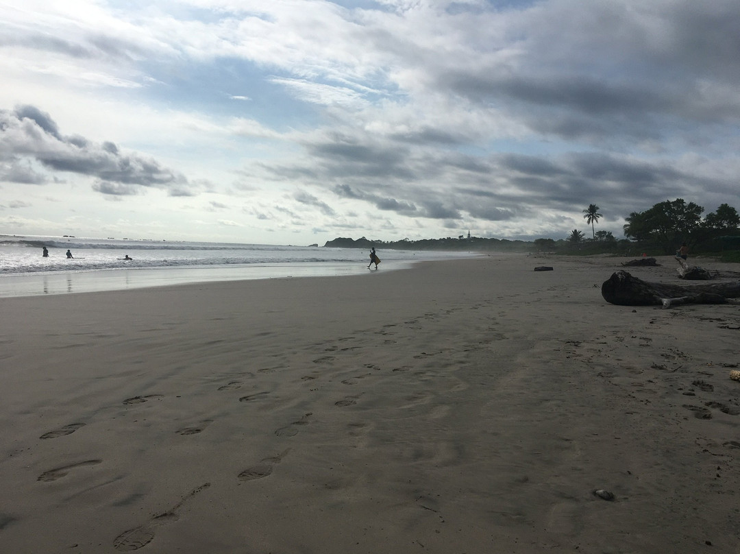 The Sunset Shack主图