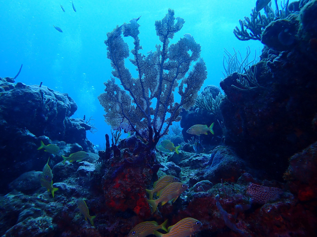 Great Escape Puerto Rico-吕康必去景点