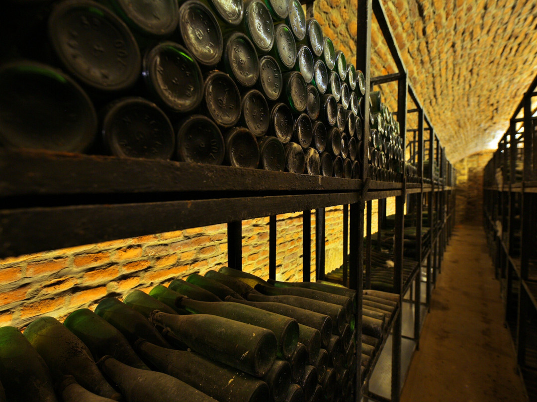 Vinoteca HUGO-Alba Iulia必去景点