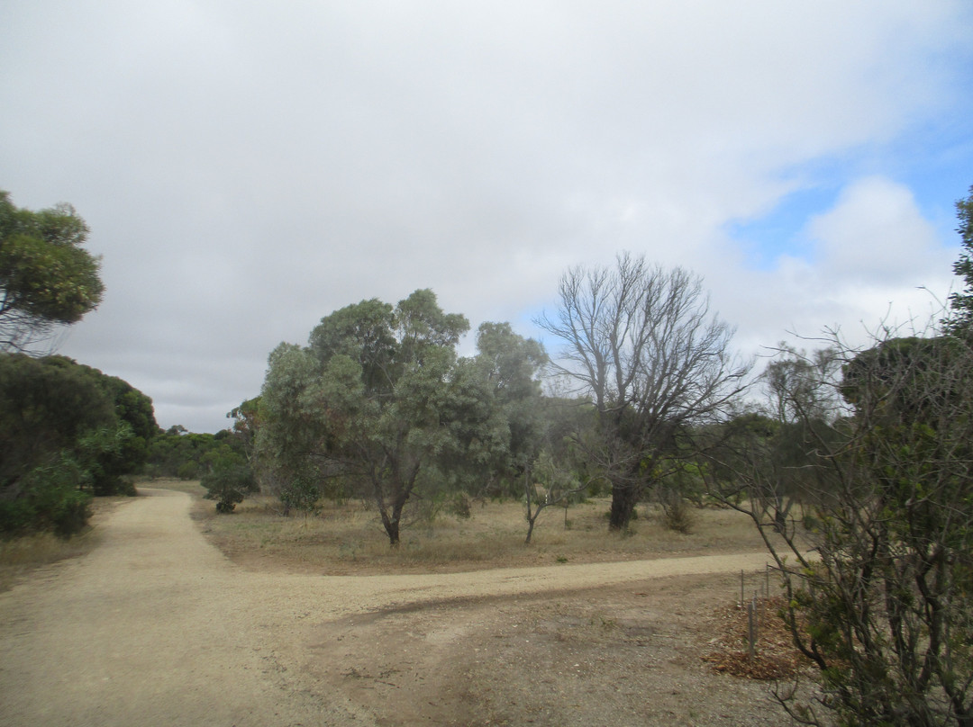 Edithburgh Flora Reserve景点图片