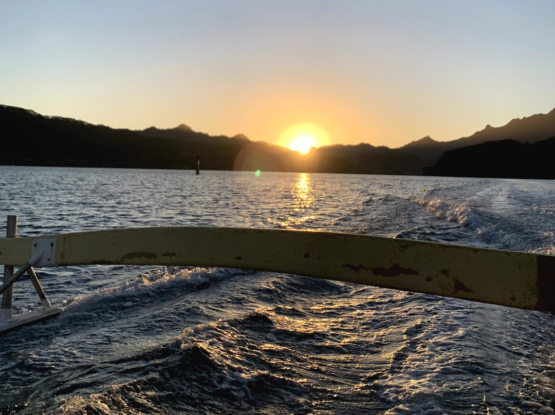 Tahaa Tour Excursion-塔哈岛必去景点