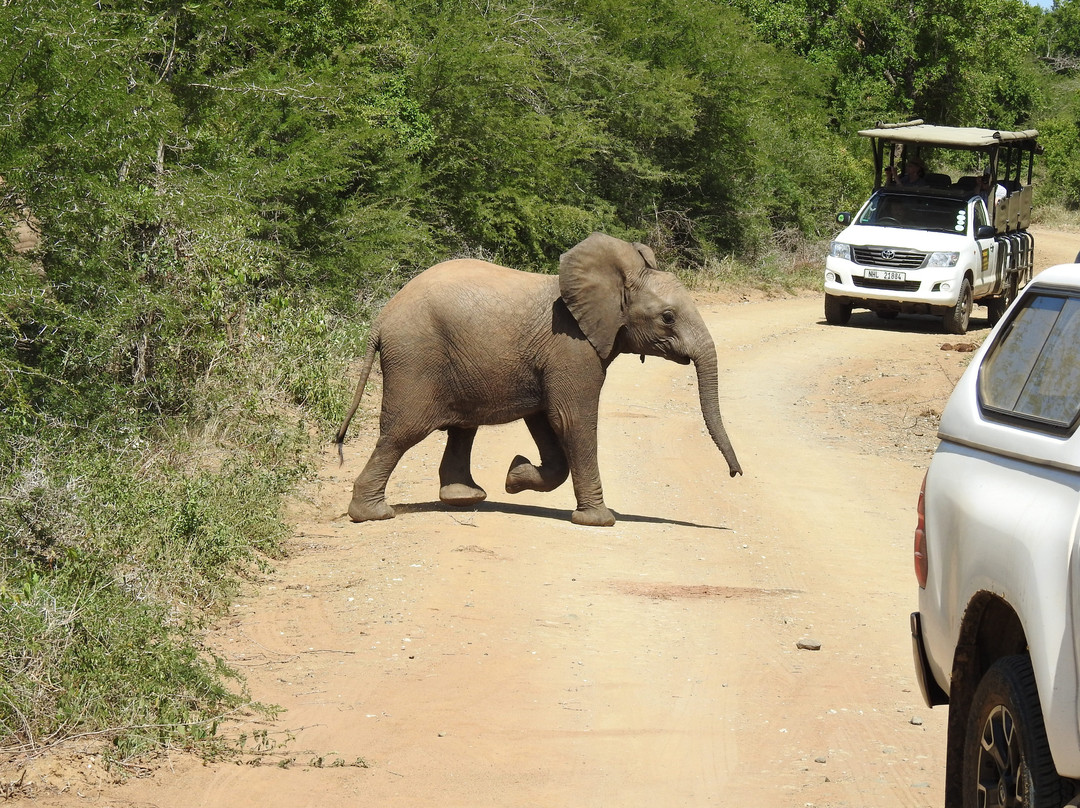 Bhangazi Lodge主图