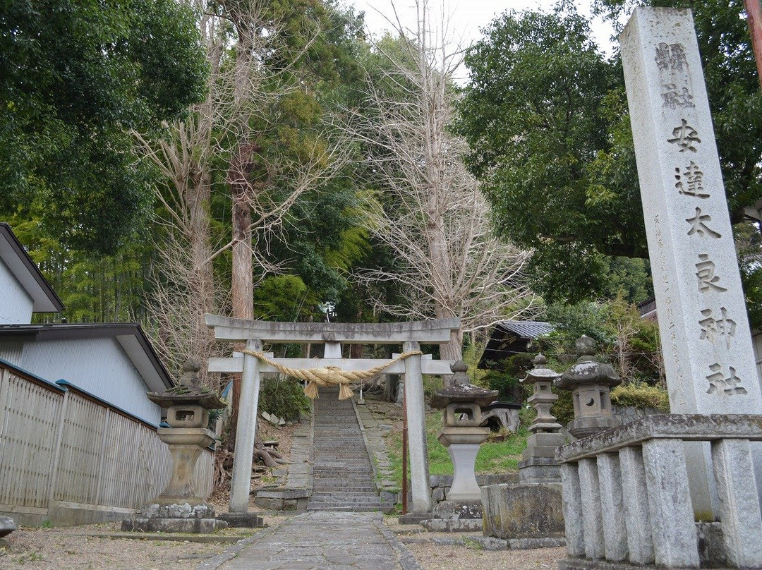 Adatara Shrine-本宫市必去景点