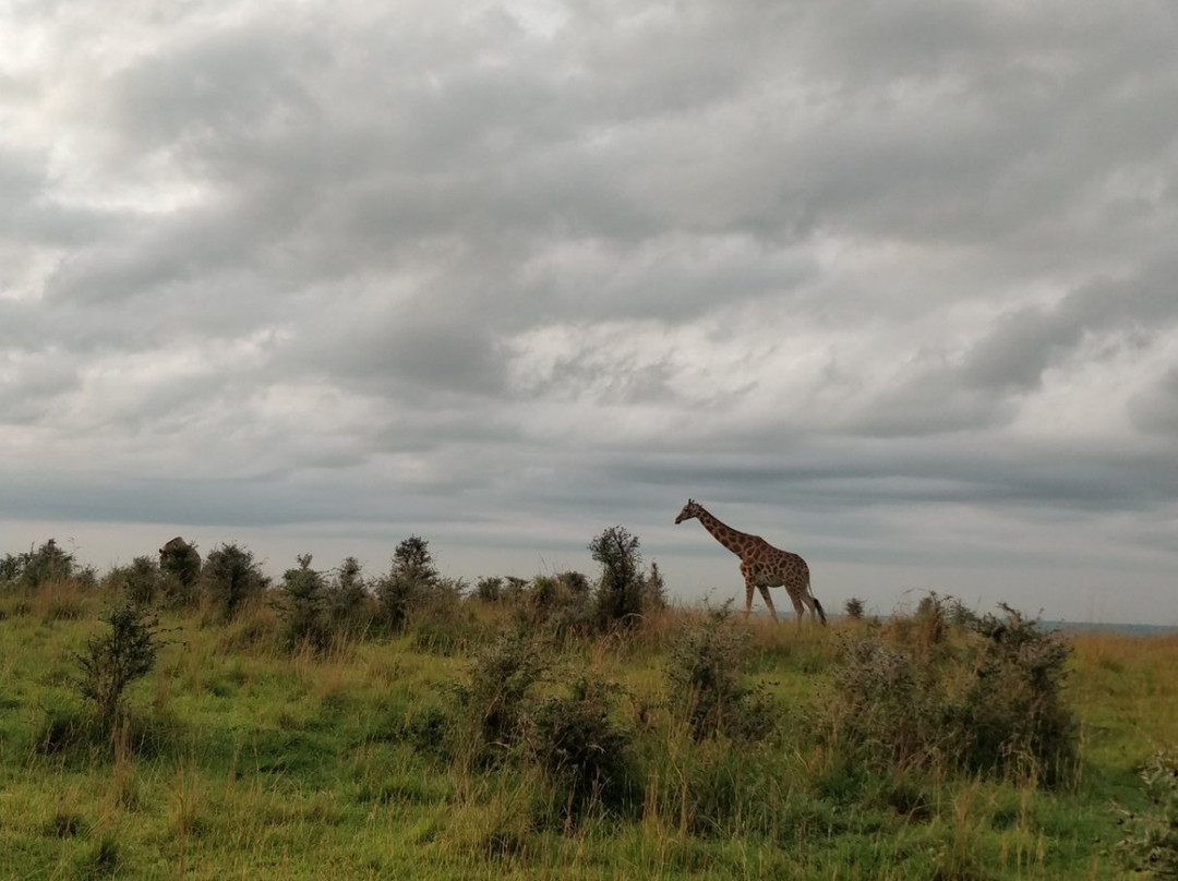 Kabarole Tours-Fort Portal必去景点
