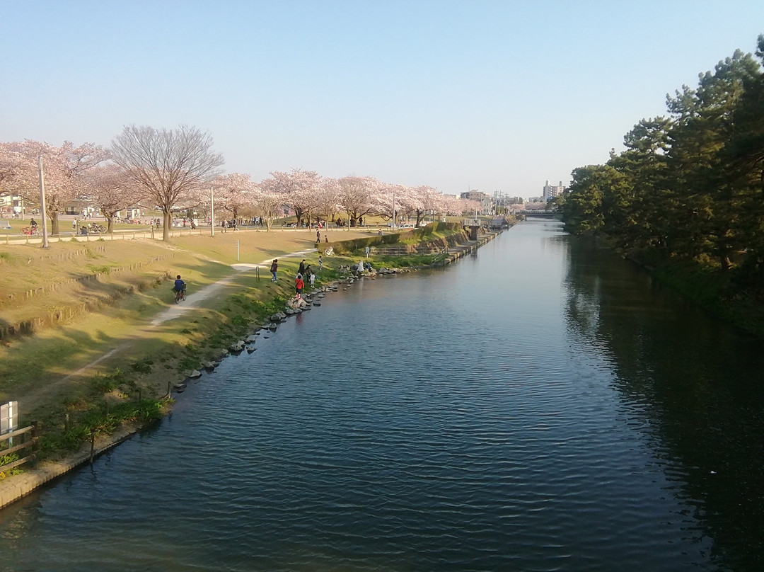 Matsubara Ayase River Park-草加市必去景点