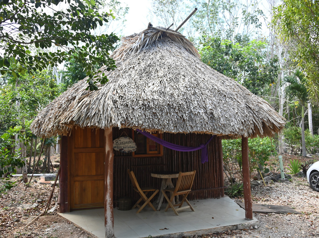 Kiichpam Kaax-Selva Bonita主图