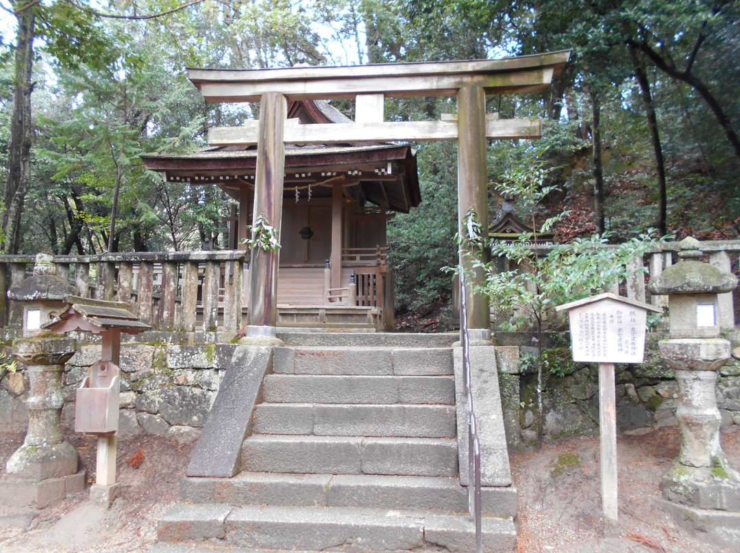 Isonokami Jingu Sessha Izumo Takeo Shrine Haiden-天理市必去景点